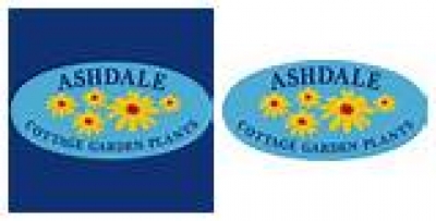 ASHDALE NURSERY