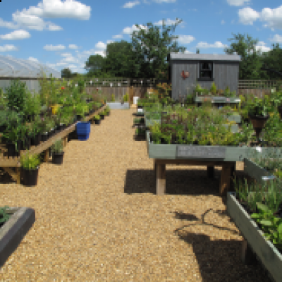 DUTCH BARN NURSERY