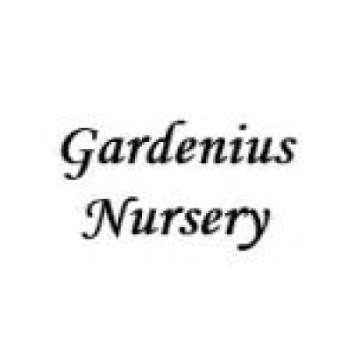 GARDENIUS NURSERY