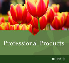 Professional Products