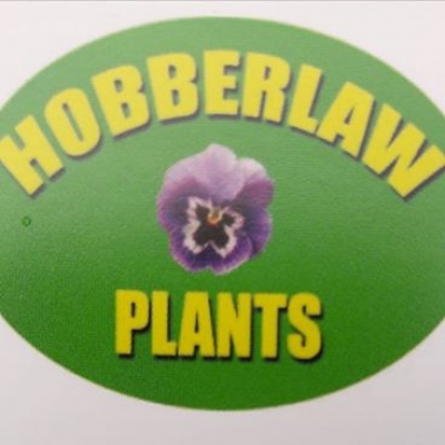 HOBBERLAW PLANTS