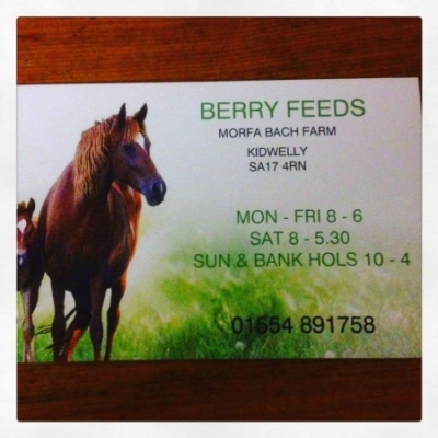 BERRY FEEDS