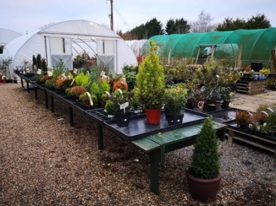 BESTHORPE PLANT CENTRE