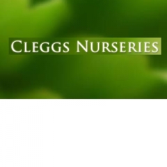 ​CLEGGS NURSERY