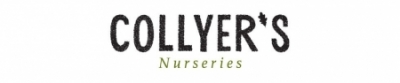 COLLYERS NURSERY & GARDEN CENTRE