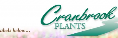 CRANBROOK PLANTS