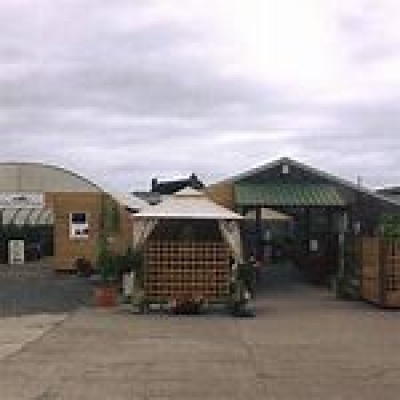 FIRS FARM NURSERIES