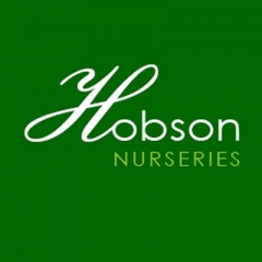 Hobsons nursery Sheffield