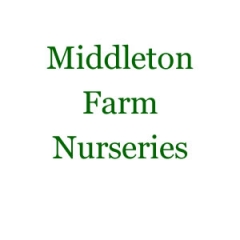Middleton Farm Nurseries 