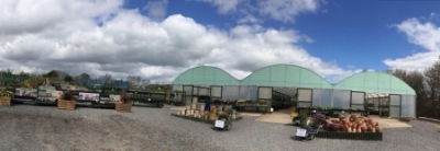 NEW ROW FARM NURSERIES