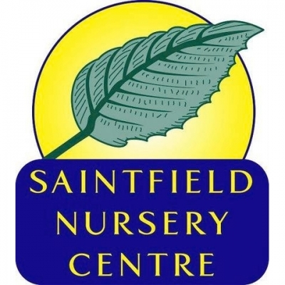 SAINTFIELD NURSERY & GARDEN CENTRE