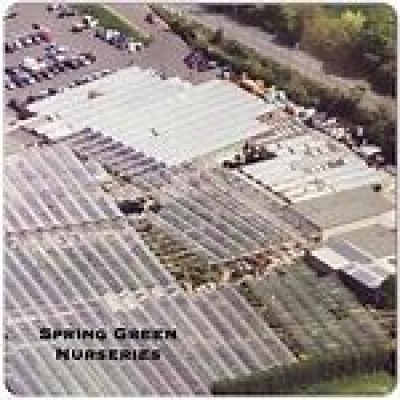 SPRING GREEN NURSERIES