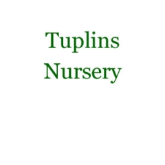 Tuplins Nursery