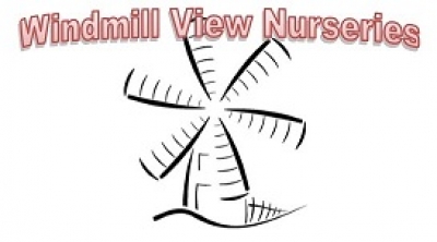 WINDMILL VIEW NURSERIES
