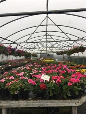 WINDMILL NURSERY